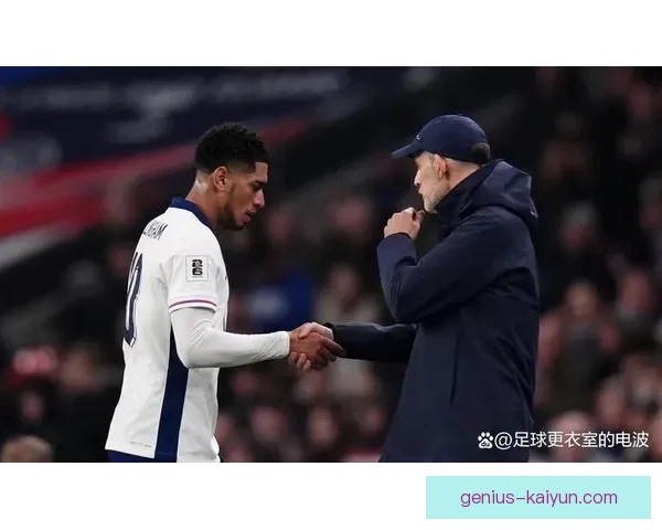 贝林厄姆图赫尔关系